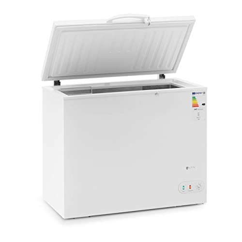 Royal Catering Arcón Congelador Cámara Profesional RCFZ-205 (Volumen: 190 L, Refrigerante: R600a, Rango de temperatura: -25 a -18 °C)