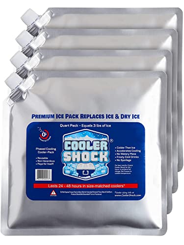 Cooler Shock 4 Paquetes de Bolsas de Hielo para Caja Enfriadora. 25cm x 25cm. Más fresco que el hielo a -7.7 Grados C, Higiénico y Reutilizable. Agregue Agua, Congele y Ahorre Dinero (paquete de 4)